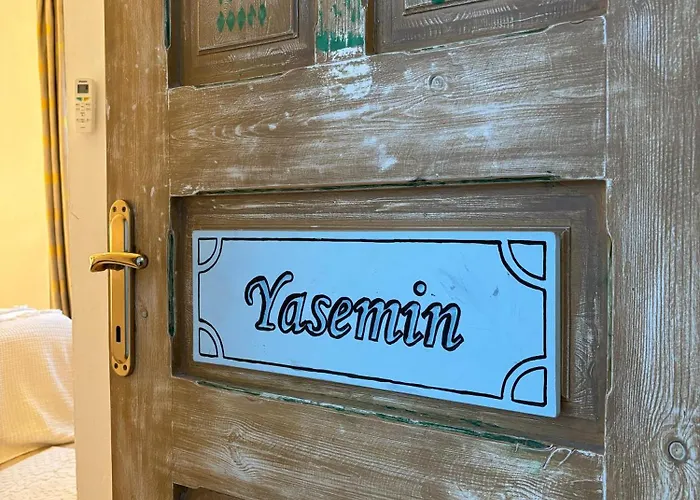 Zeynep ألاتشاتي