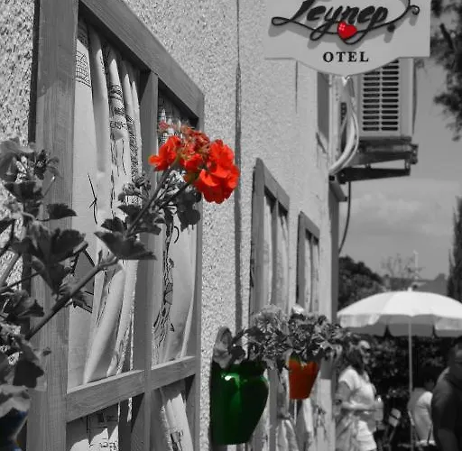 بيت ضيافة Zeynep